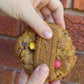 Biscof fun cookies box