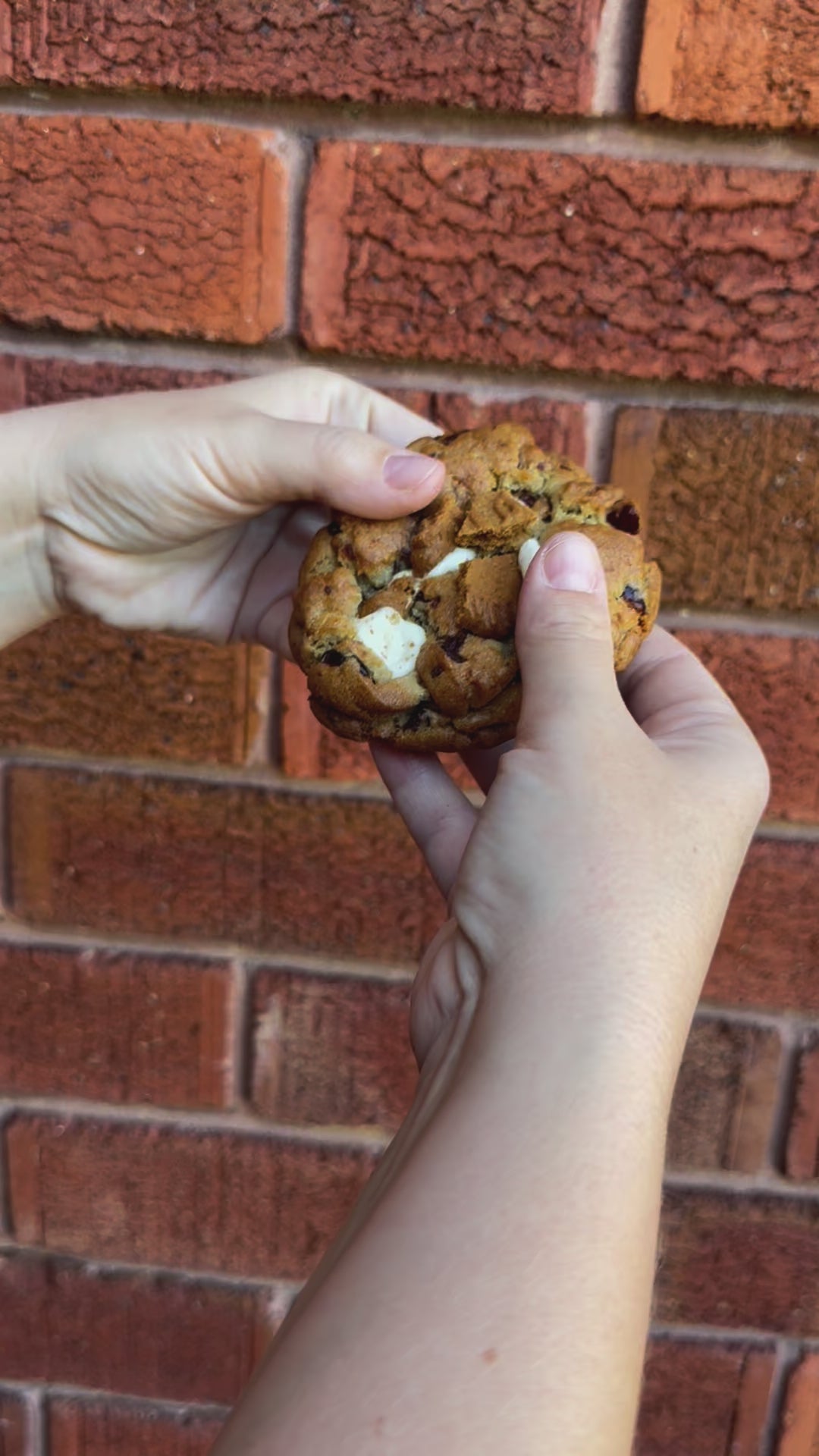 Load video: Cranberries white chocolate cookies box